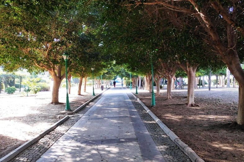 Turgutreis 3