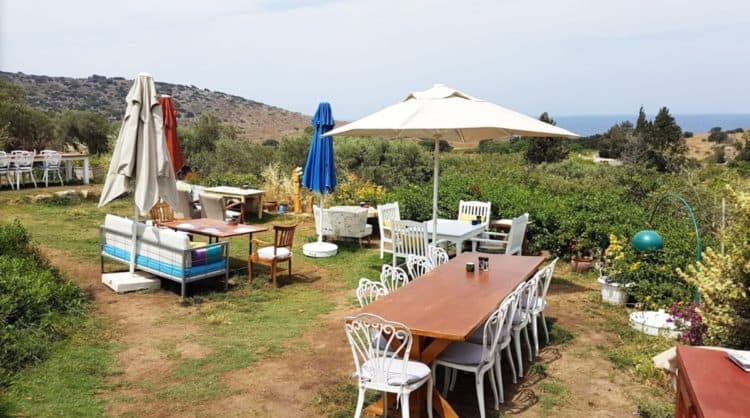 Best Turkish Breakfast in Bodrum Places 6 Best Bodrum Breakfast Places
