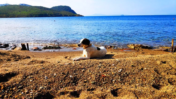 GUMUSLUK GUIDE 3 Bodrum Gümüşlük