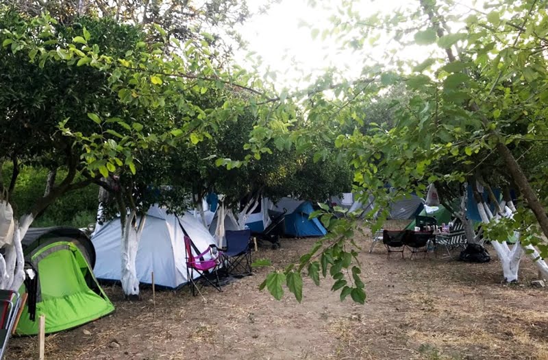 РЕКОМЕНДАЦИИ ПО КЕМПИНГАМ В БОДРУМЕ Bodrum Masalı Camping